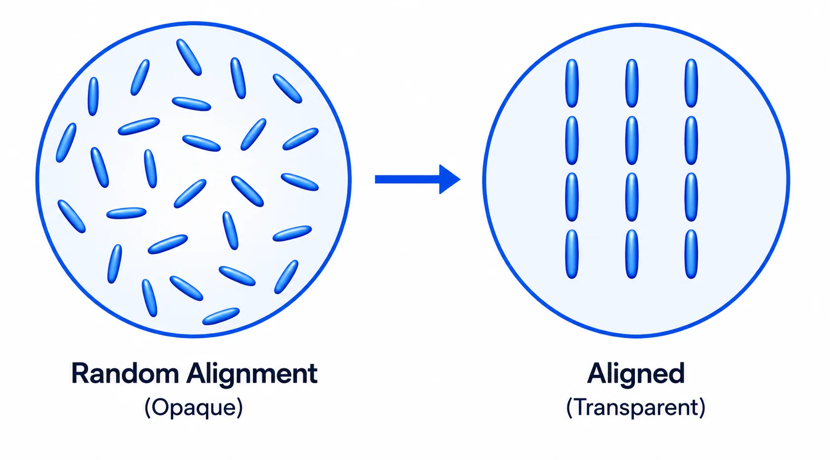 PDLC liquid crystals switching from random alignment (opaque) to aligned (transparent)