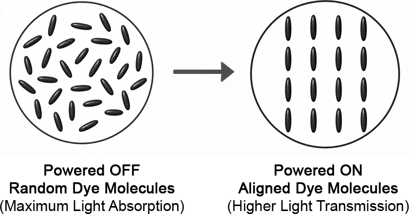 DLC dye molecules: randomly oriented with the power off, aligned with it on